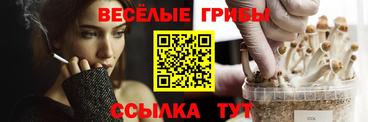 Галлюциногенные грибы GOLDEN TEACHER  Галлюциногенные грибы Psilocybe  Вход с VPN  Бузулук 